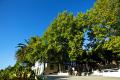 Ampliar Foto - Quinta da Taipa