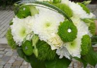 flores da maria