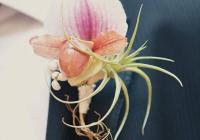 Flores da Gena - decoração floral