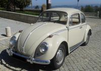 Joaquim Pinto de Carvalho