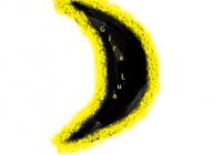 GiraLua