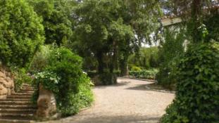 Quinta dos Rouxinois