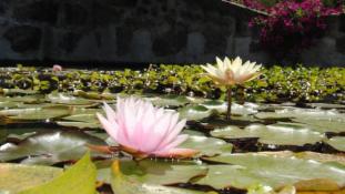 Quinta Cerrado da Portela