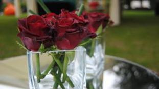 Quinta Cerrado da Portela