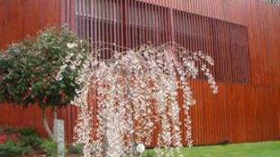 Quinta Cerrado da Portela