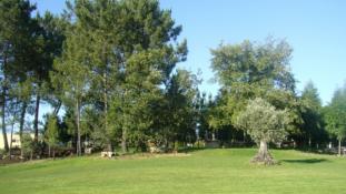 Quinta da Couceira