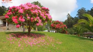 Quinta da Costa