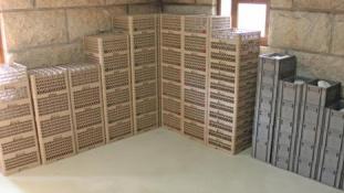Quinta dos Pinheirais