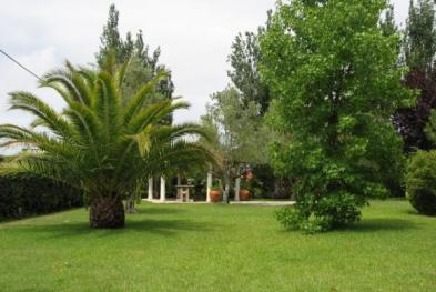 Quinta Azenha de Cima