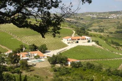 Quinta da Murta