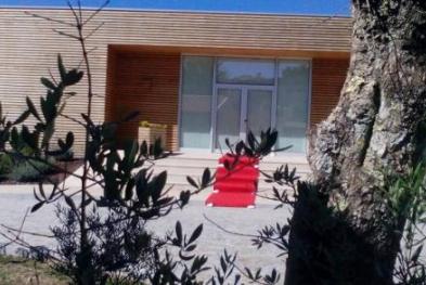 Olival da Cabana - Country LIfe