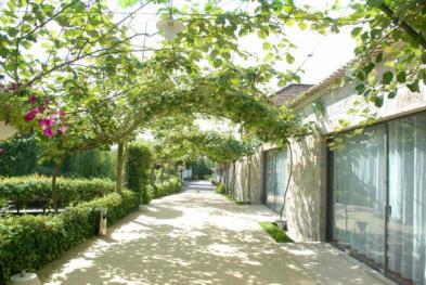 Quinta de Além