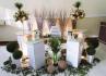 OMNIA eventos 