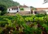 Quinta de S. Gens
