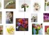 Atelier Floral