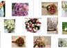 Atelier Floral