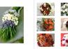 Atelier Floral