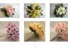 Atelier Floral