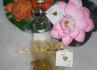 Sonhos de Cristal Designs
