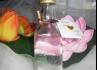 Sonhos de Cristal Designs