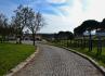 Monte de São José
