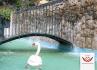 Casa Lago dos Cisnes