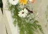 Evento Gourmet - catering