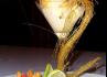 Evento Gourmet - catering