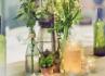 SOMETHING NEW- LEMBRANÇAS