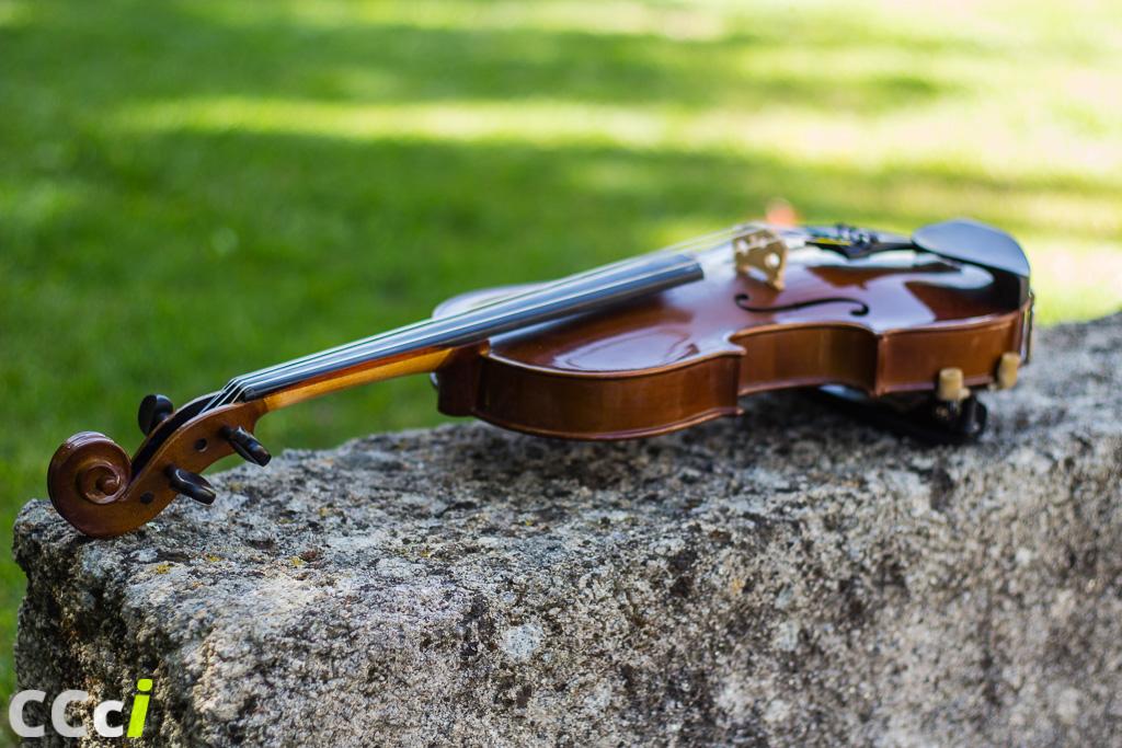 Adelaide Violin